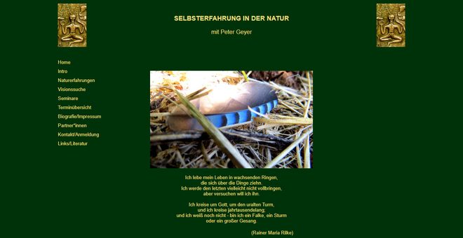 Die frühere Website von Peter Geyer: Textseite im Stil der 2000er